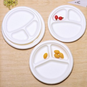 Biodegradable disposable environmental bagasse plates