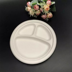 Biodegradable disposable environmental bagasse plates